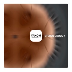 Stereo Groovy
