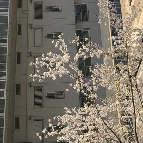 slump6s  - drank [ greed ]