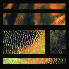 Sonic Puzzler vol.2 w/ Timeless Rhythms