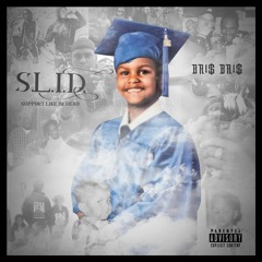 Bris Bris - Slide Today