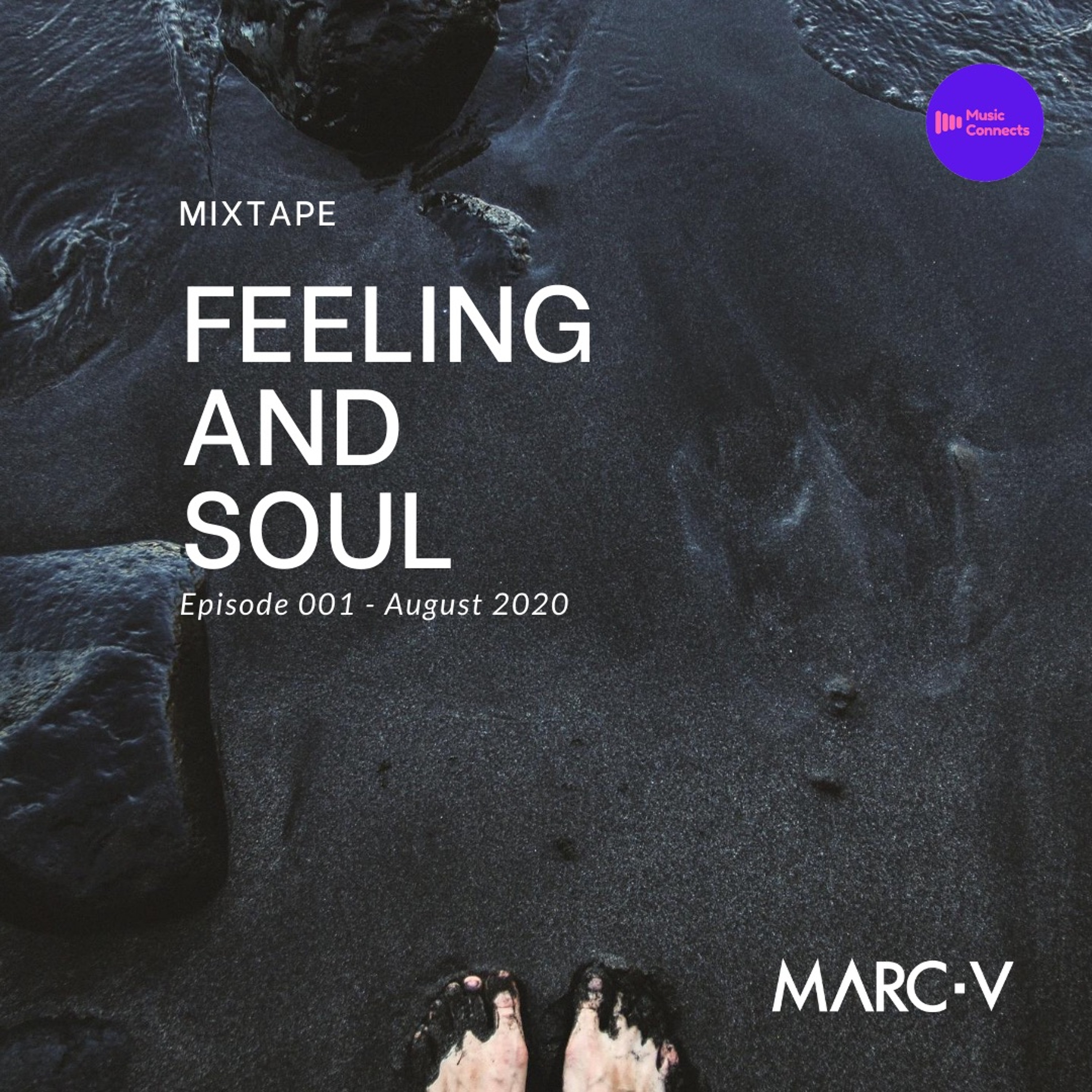 MARC-V