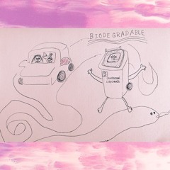 Biodegradable Bin Boy (demo)