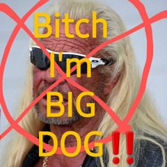 BIG DOGGIN
