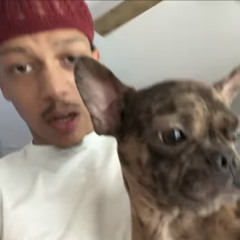 iayze (jace!) - drac! / lika pill! [unreleased]