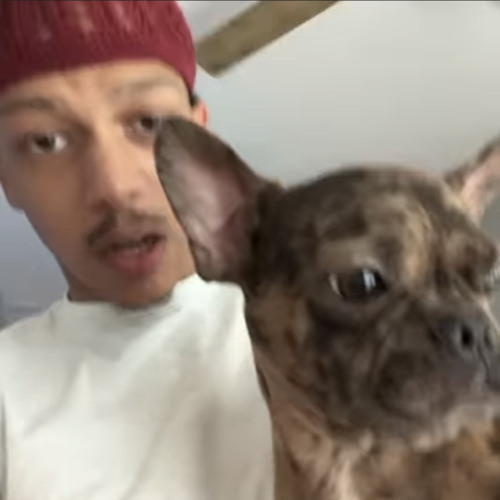 iayze (jace!) - drac! / lika pill! [unreleased]