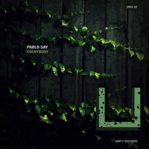 Pablo Say - Full party (Original Mix)[UNITY RECORDS]