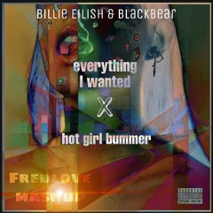 Billie Eilish - everything I wanted X Blackbear - hot girl bummer(Phred Mashup)