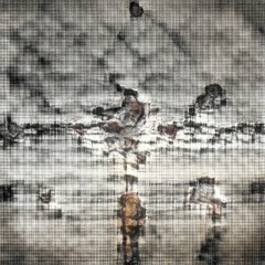 Brand New Fell - Bustin' Jeeberz