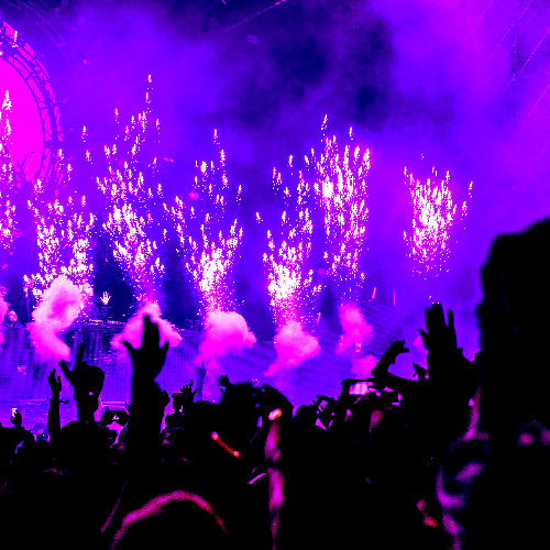 Best Fest