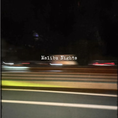 Malibu Nights (cover)