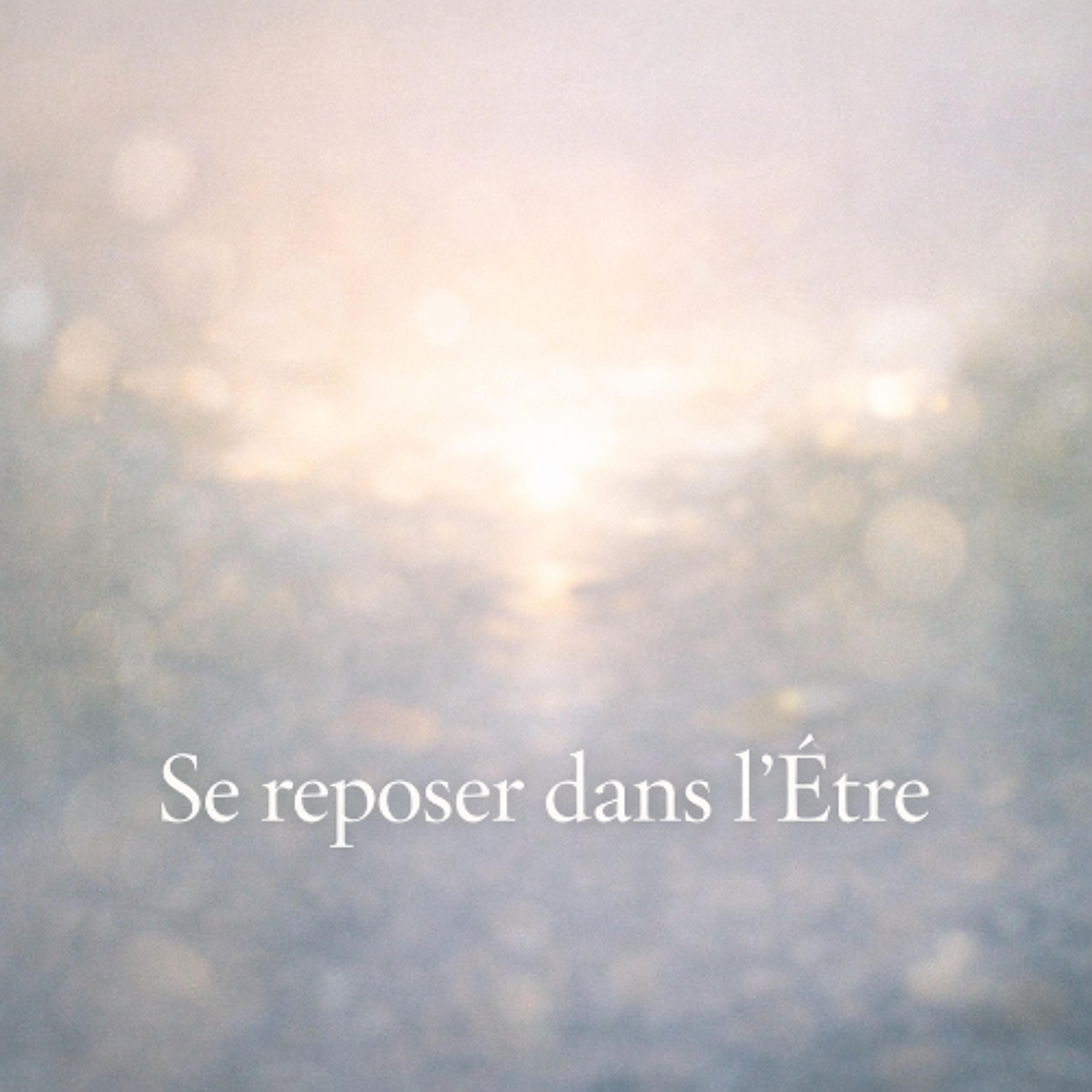 LES MERCREDIS DE LA PRÉSENCE - Se reposer dans l’Être (mercredi 18 février 2026) episode artwork