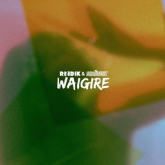 Waigire (Extended Version) - Reedik, Yung Diggerz