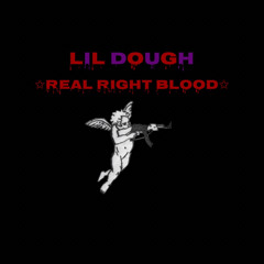 LIL DOUGH - real right blood (official audio)