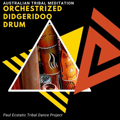 Stream Paul Ecstatic Tribal Dance Project Electronic Tribed