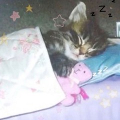 ZASNĄĆ JUŻ NIE MOGĘ (prod. spinzhomies + papaye + meewson)