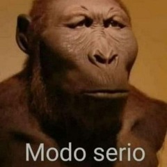 MULHER KAMASUTRA X BEAT MODINHA TRAÇADINHO  ( PROD - DJ YURI DA JL )