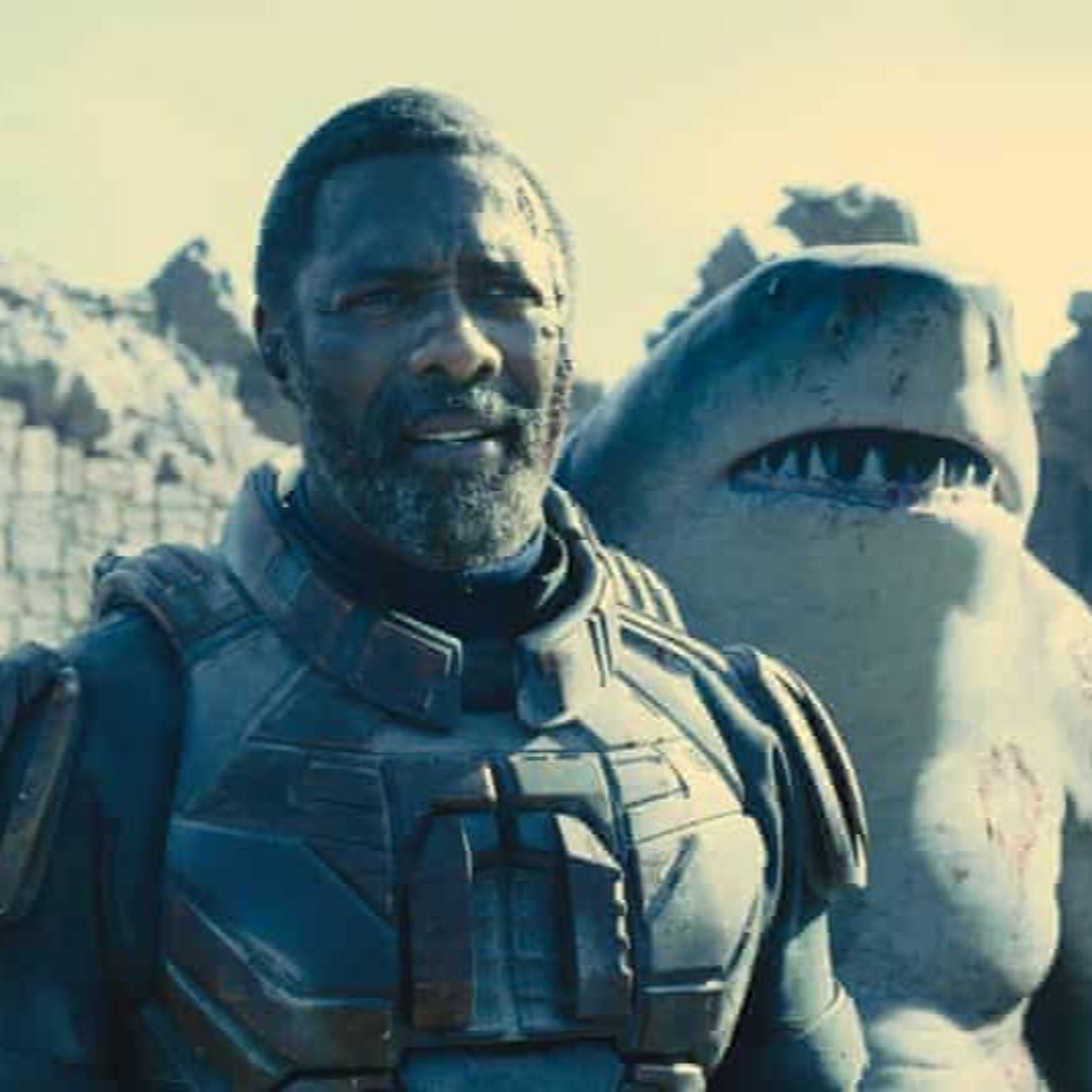 The Iron Koob Fights Movies