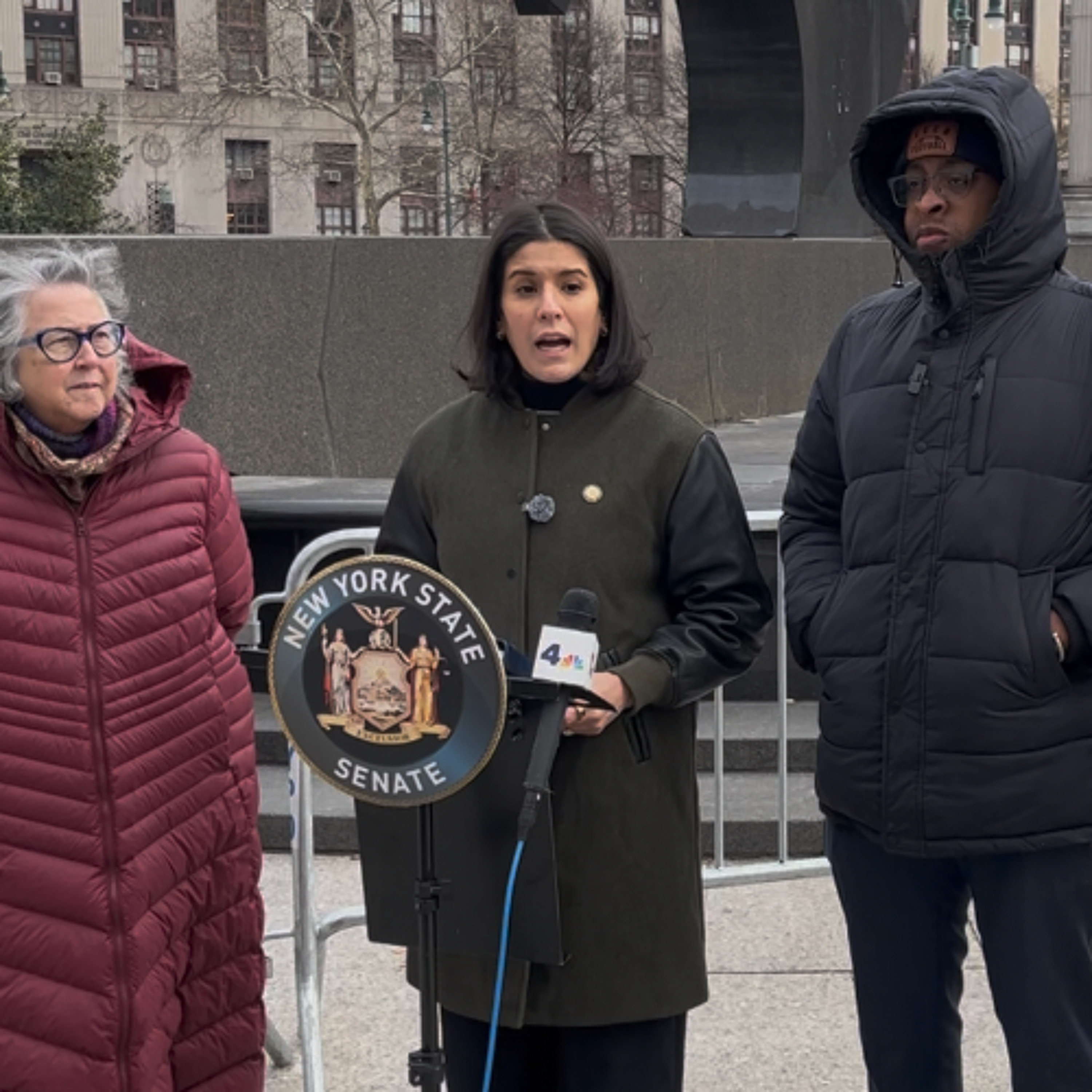 Assembly Member Romero defends NY Civil RIghts Act episode artwork