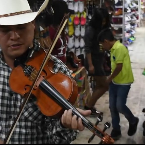 De Timbre En Timbre Cp.1 - El Gis y el Grito