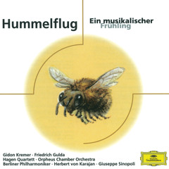 Rimsky-Korsakov: The Tale of Tsar Saltan: Flight of the Bumblebee (Arr. Feygin for String Orchestra)