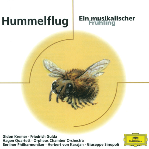 Rimsky-Korsakov: The Tale of Tsar Saltan: Flight of the Bumblebee (Arr. Feygin for String Orchestra)