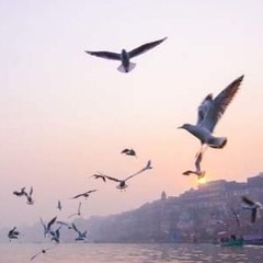 لا تسألن بُنيَّ آدم حاجة! - الشيخ سعيد الكملي