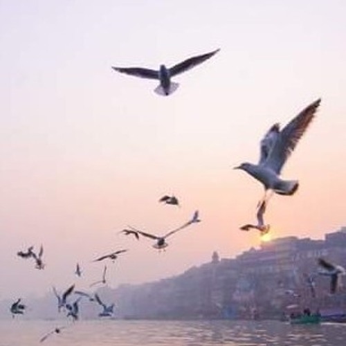 لا تسألن بُنيَّ آدم حاجة! - الشيخ سعيد الكملي