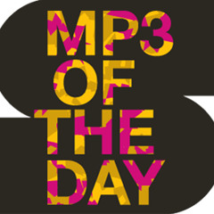 Late Of The Pier vs The Whip - Fire, Space & The Woods (Baron von Luxxury Mash-up)