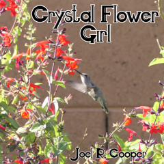 Crystal Flower Girl