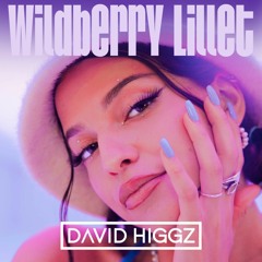 Nina Chuba - Wildberry Lillet (David Higgz Remix)