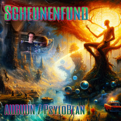 AUGUUN / PsyloBean - SCHEUNENFUND