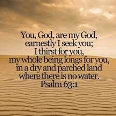 Psalms 63. earnestly Lord, I seek you.