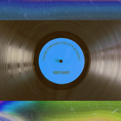 Flying Through The City