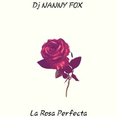 DJ NANNY FOX - La Rosa Perfecta