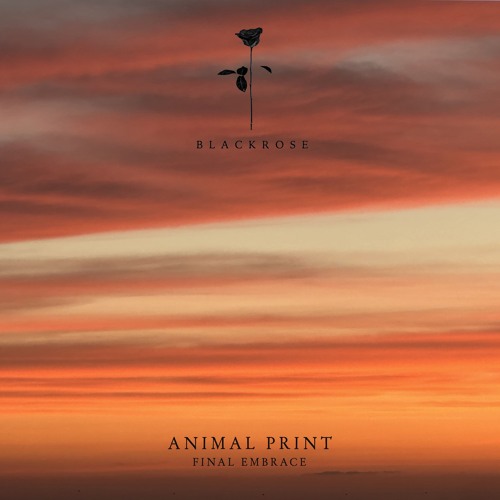 Animal Print Feat. Amin Salmee - Final Embrace (Original Mix)
