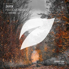 ZaVen - Lock Down