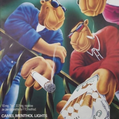 Elevate (Feat. Scrad)