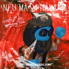 Wxrdie - Neu Ma 0 Phai ANh (TEDDY DOOX X VO VAN DUC REMIX)