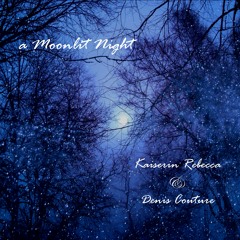 A Moonlit Night