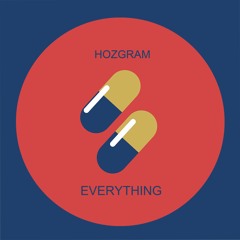 Hozgram - Everything (Vlog No Copyright Music)