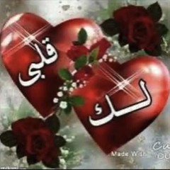 ( • ̀ω•́ )🔪