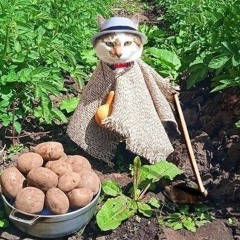 /GNOMECORE PLAYLIST//