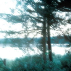 я не могу тебя забыть (wannawoods)