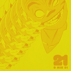 G Mix 21 by Russel Hobbs