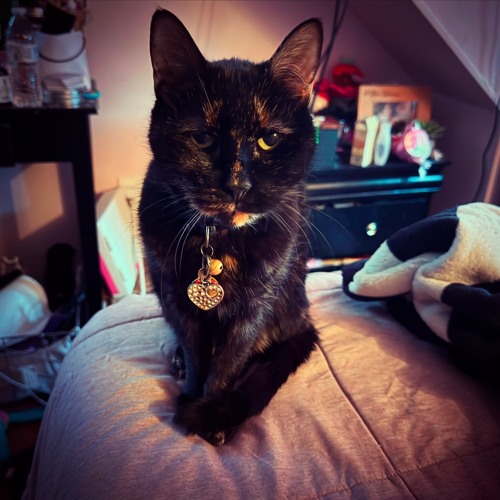 3sum w/mxrvl & junomeetparis (yk)