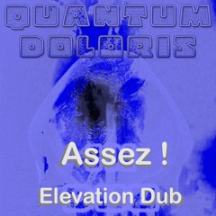 Assez! Elevation Dub