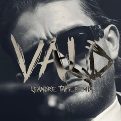 VALD REMIX TECHNO IGNORANT