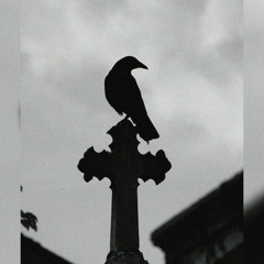[FREE] Night Lovell x Bones x $uicideBoy$ Type Beat "Raven"