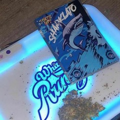 Caal Vo - SHARKLATO (CHAPTER)