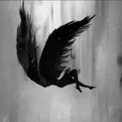 clipped wings (prod. jessierosse)